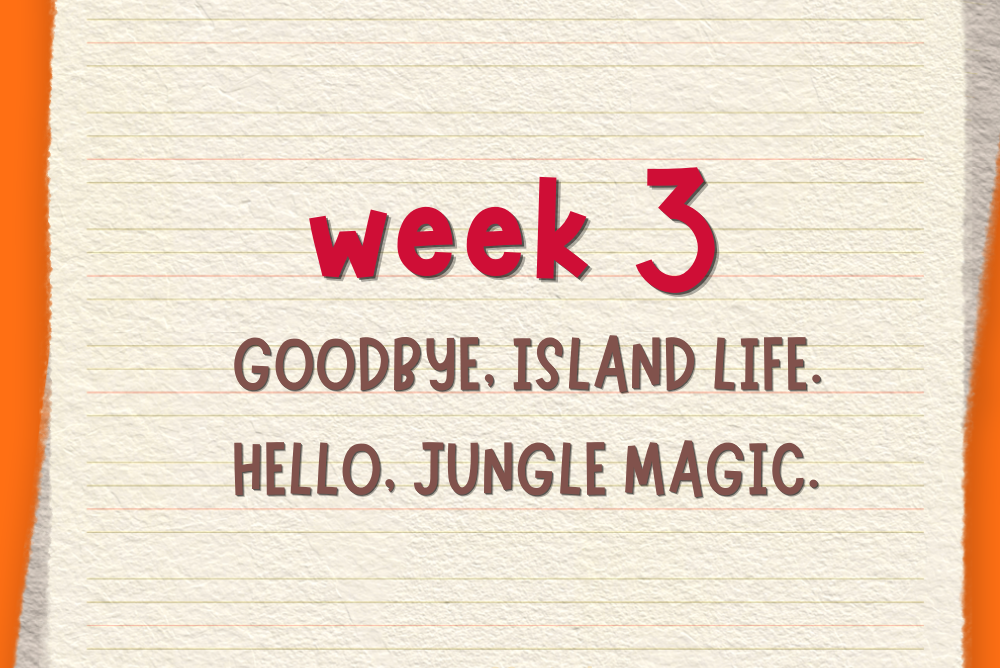 FROM ISLAND LIFE TO JUNGLE LIFE